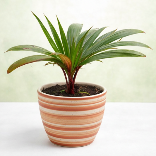 Potted plant with green leaves in a white pot on a light background